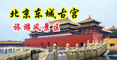 欧美射在线中国北京-东城古宫旅游风景区